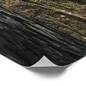 Bosbouwpad Poster (Hoek)