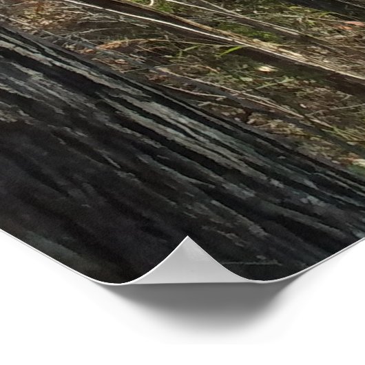 Bosbouwpad Poster (Hoek)