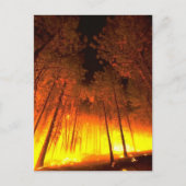 Bosbrand Briefkaart (Voorkant)