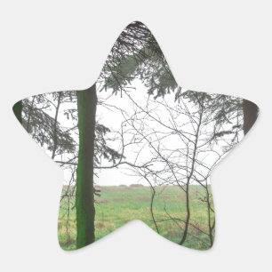 Bosbranden die het ontginnen in de mist overzien ster sticker