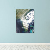 Bosbranden en rook in Georgië en Florida Canvas Afdruk (Insitu (Houten vloer))