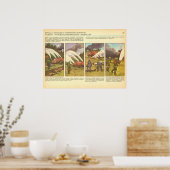 bosbranden poster (Keuken)