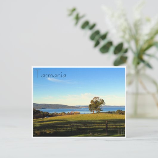 bosbruglandschap briefkaart (Staand voorkant)