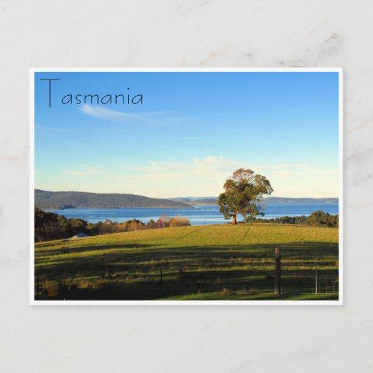 bosbruglandschap briefkaart (Voorkant)