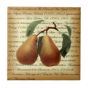 Bosc Pears~Léon Leclerc~Ulysses Prentiss Hedrick~  Tegeltje