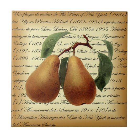 Bosc Pears~Léon Leclerc~Ulysses Prentiss Hedrick~ Tegeltje (Voorkant)