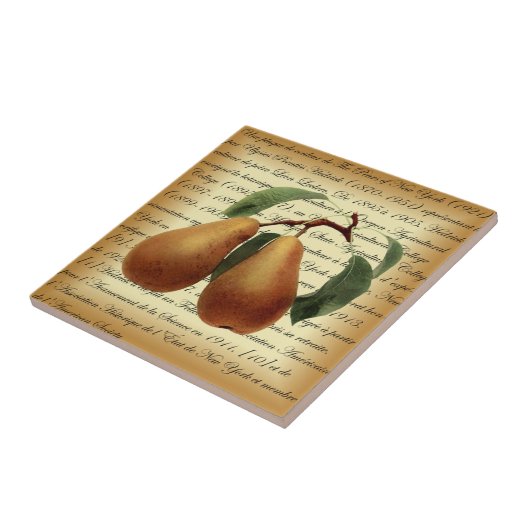 Bosc Pears~Léon Leclerc~Ulysses Prentiss Hedrick~ Tegeltje (Zijkant)