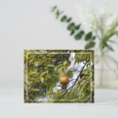 Bosc-peren op de boom briefkaart (Staand voorkant)