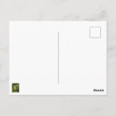 Bosc-peren op de boom briefkaart (Achterkant)
