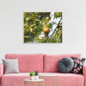 Bosc-peren op de boom canvas afdruk (Insitu (Woonkamer))