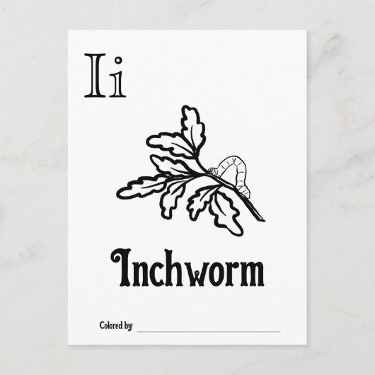 Bosdieren ABC Kleurend Baby shower Activiteit Briefkaart (Voorkant)