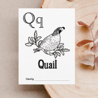 Bosdieren ABC Kleurend Baby shower Activiteit