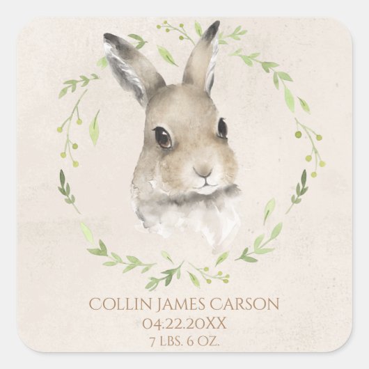 Bosdieren Bunny Waterverf Birth Stats Vierkante Sticker (Voorkant)
