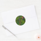 Bosdieren en planten ronde sticker (Envelop)