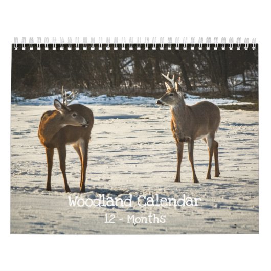 Bosdieren Natuur Kalender (Hoes)