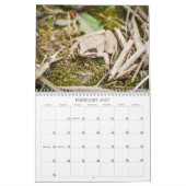 Bosdieren Natuur Kalender (Feb 2027)