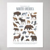 Bosdieren voor kinderkamer en babykamer decoratie (Voorkant)