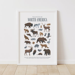 Bosdieren voor kinderkamer en babyslaapkamer decor poster
