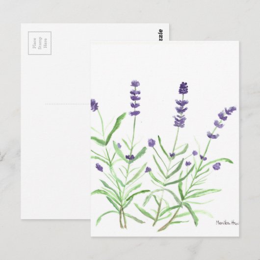 Boseenmansvogel Briefkaart (Voorkant / Achterkant)