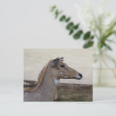 Boselaphus tragocamelus briefkaart (Staand voorkant)