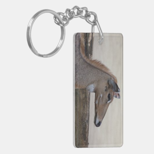 Boselaphus tragocamelus sleutelhanger (Voorkant Links)