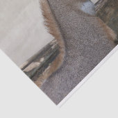 Boselaphus tragocamelus tissuepapier (Detail)