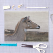 Boselaphus tragocamelus tissuepapier (Craft)