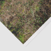 Bosenkool 26-depotpapier tissuepapier (Detail)