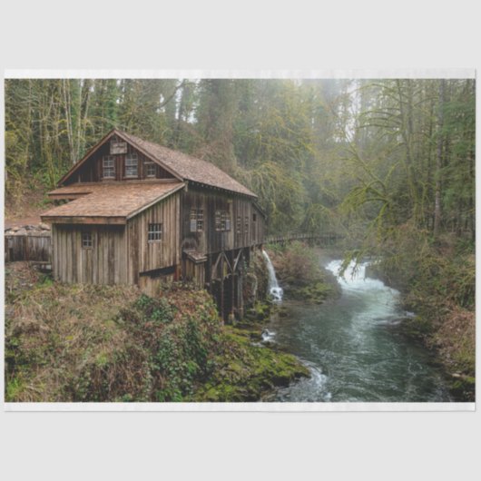 Bosenkool 26-depotpapier tissuepapier (Voorkant)