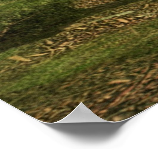 Bosfantasie Poster (Hoek)