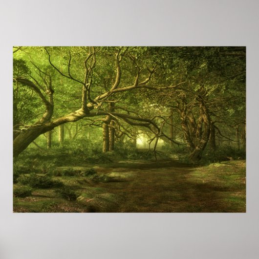 Bosfantasie Poster (Voorkant)