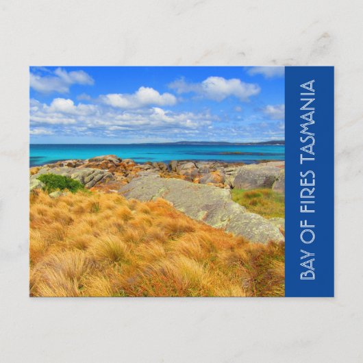 bosgebied australië briefkaart (Voorkant)