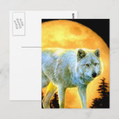 bosgebied moonlight volle maan wolf briefkaart (Voorkant / Achterkant)