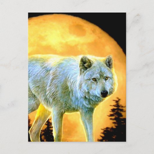 bosgebied moonlight volle maan wolf briefkaart (Voorkant)