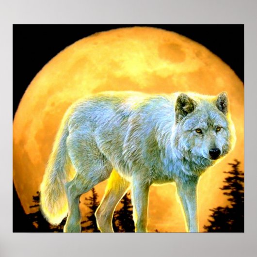 bosgebied moonlight volle maan wolf poster (Voorkant)