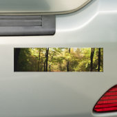 Bosglande Bumpersticker (Op auto)