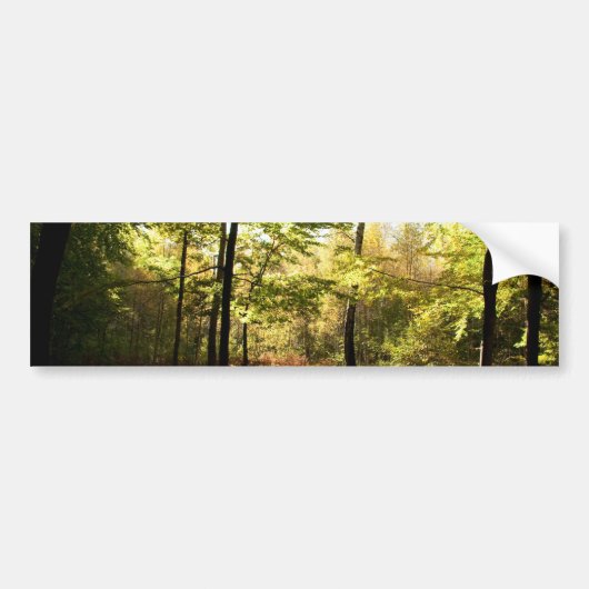 Bosglande Bumpersticker (Voorkant)