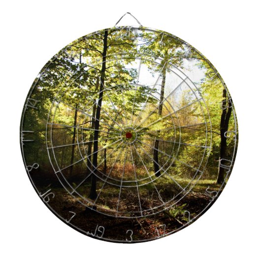 Bosglande Dartbord (Voorkant)