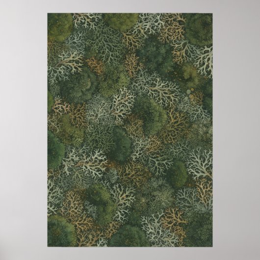 Bosgroene korstmos botanische patroonposter poster (Voorkant)