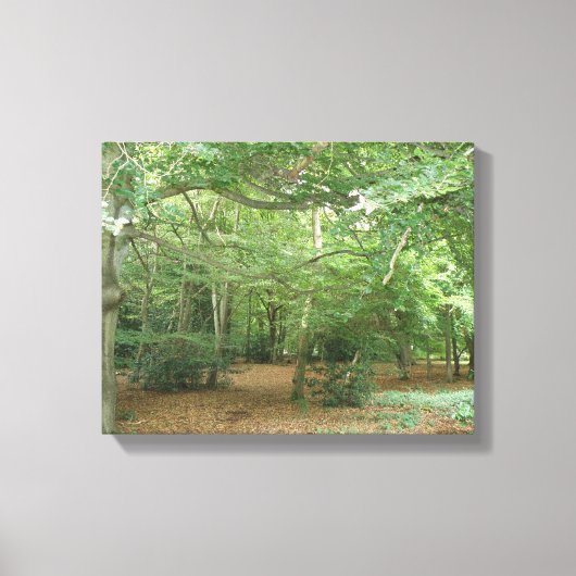 Bosgrond Canvasprint Canvas Afdruk (Voorkant)