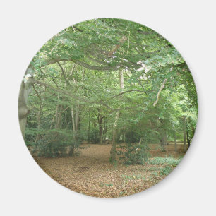 Bosgrond Magnet