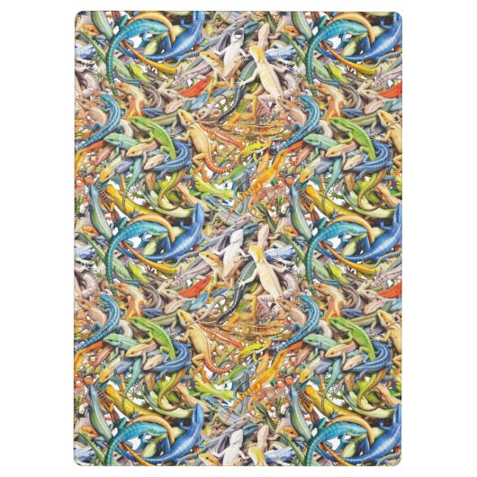 boshagedisklomp klembord (Achterkant)