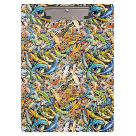 boshagedisklomp klembord (Voorkant)