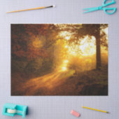 Bosherfst 11 debetpapier tissuepapier (Craft)