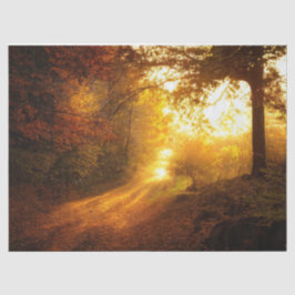 Bosherfst 11 debetpapier tissuepapier