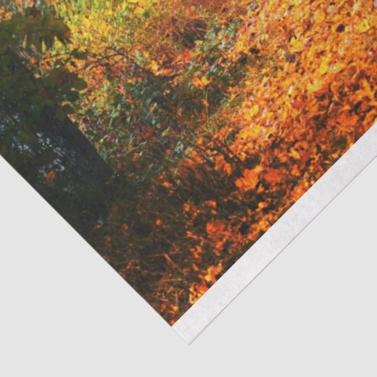 Bosherfst 12 debetpapier tissuepapier (Detail)