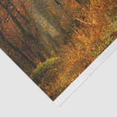 Bosherfst 13 debetpapier voor ontkoppeling tissuepapier (Detail)