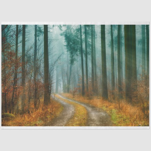 Bosherfst 13 debetpapier voor ontkoppeling tissuepapier (Voorkant)