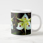 Boshoutbeker Grote Koffiekop (Rechts)