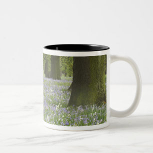 Boshyacinten en eiken in de lente, Little Hagley Tweekleurige Koffiemok